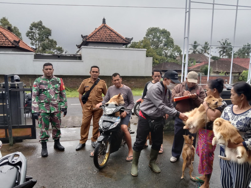 Kegiatan Vaksin Rabies Masal di Wilayah Desa Kebon Padangan